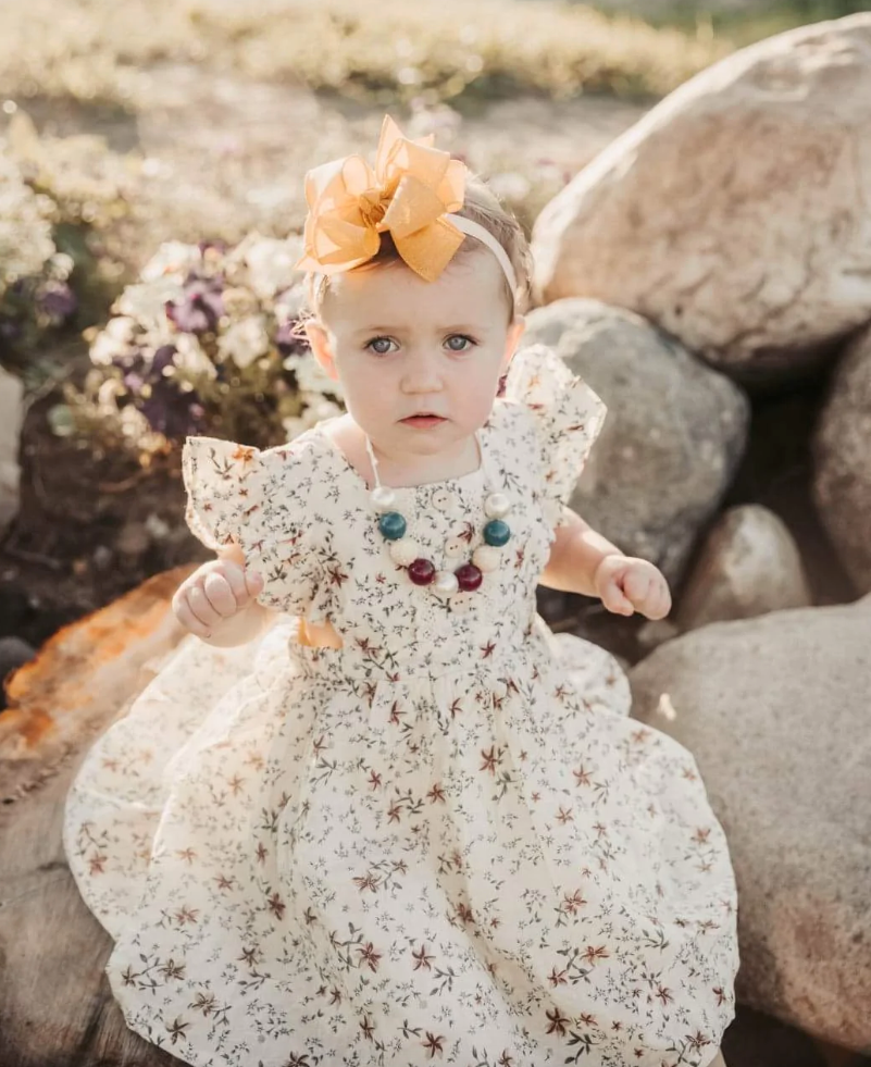 Dahlia Flutter Sleeve Dress