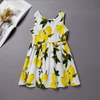 Aly Lemon Print Dress