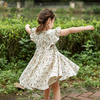 Dahlia Flutter Sleeve Dress