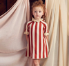 Hayley Puff Sleeve Knit Dress