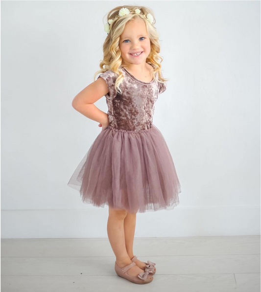 Myra Velvet Tutu Dress - Abby Apples Boutique
