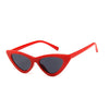 Cat Eye Sunglasses